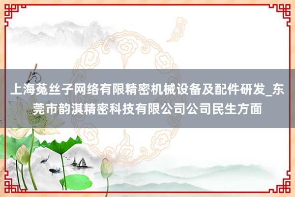 上海菟丝子网络有限精密机械设备及配件研发_东莞市韵淇精密科技有限公司公司民生方面