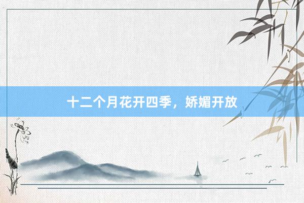 十二个月花开四季，娇媚开放