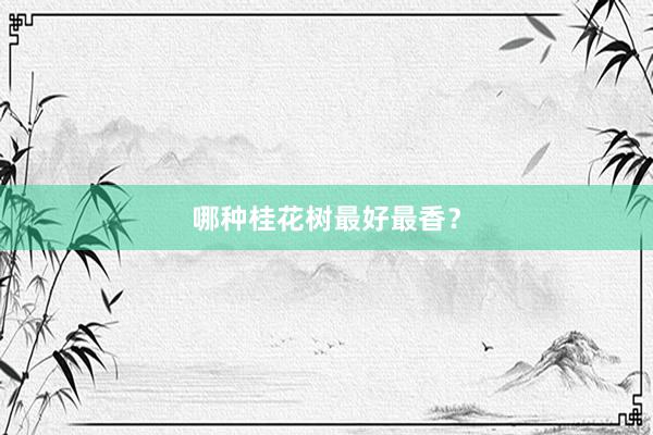 哪种桂花树最好最香？