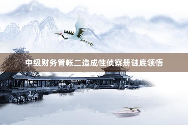 中级财务管帐二造成性侦察册谜底领悟